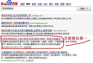 昆明網(wǎng)站建設(shè)的公司哪家好 最好能做了網(wǎng)站然后再附帶網(wǎng)站推廣服務(wù)的公司